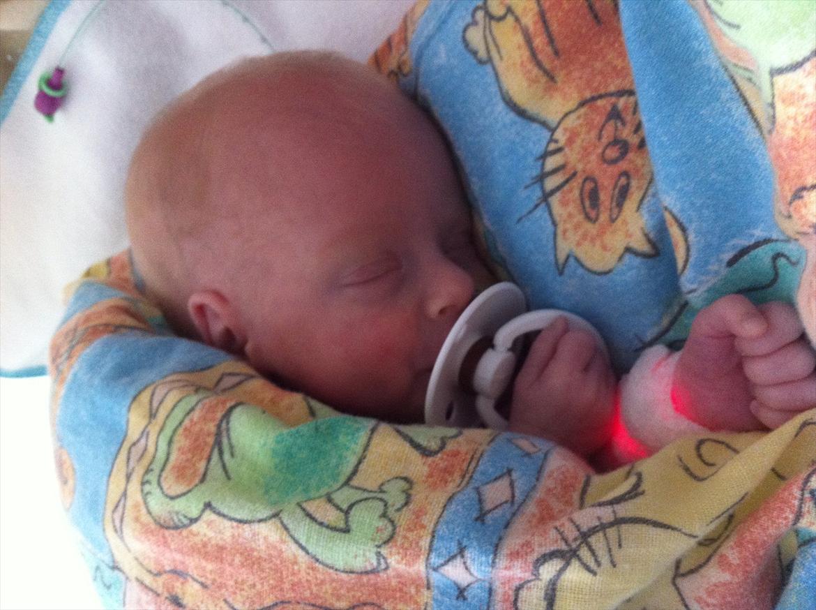 Pige Sophia Charlotte Aasted Wilson billede 7