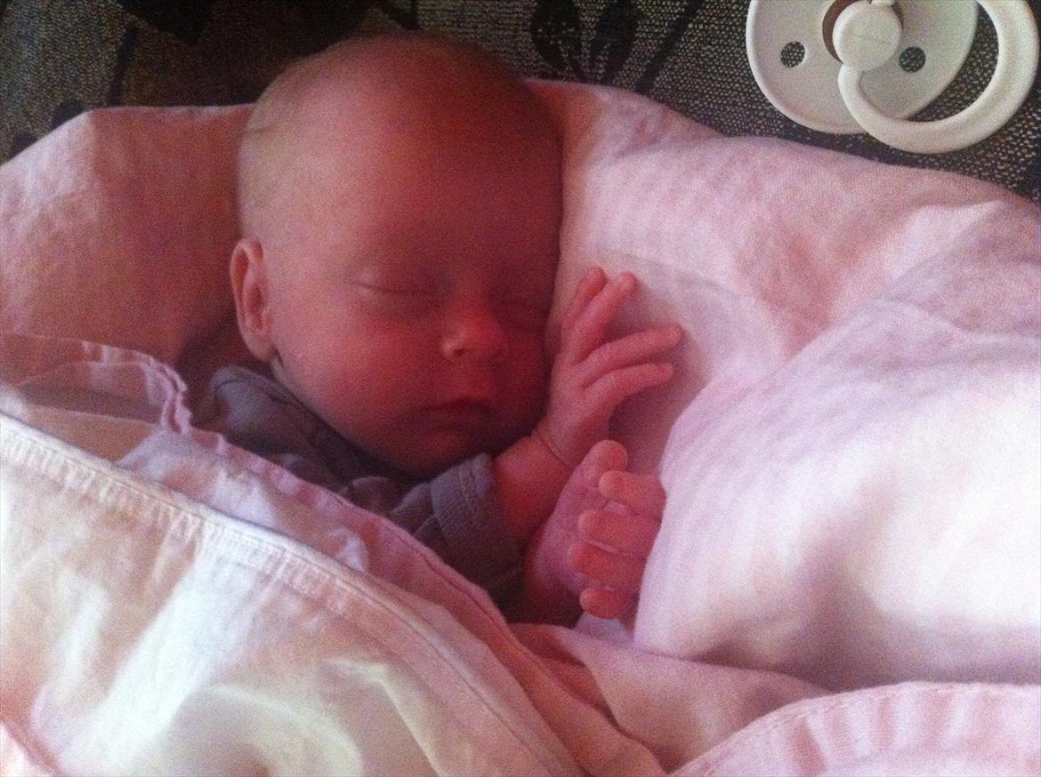 Pige Sophia Charlotte Aasted Wilson billede 12