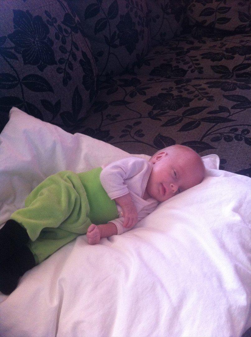 Pige Sophia Charlotte Aasted Wilson billede 13