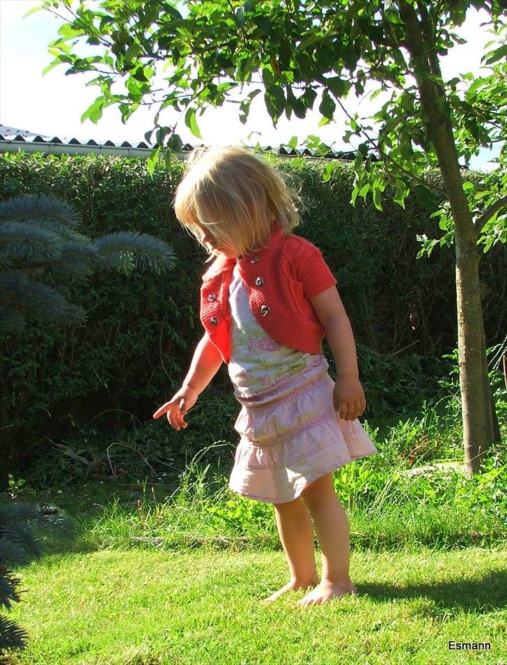 Pige Clara billede 20