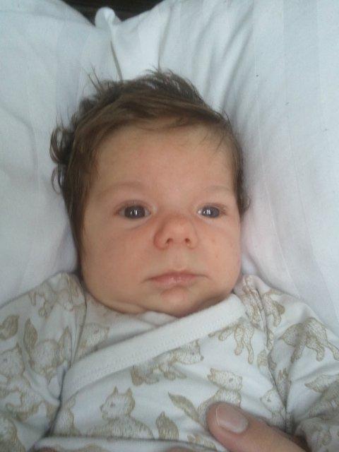 Dreng Joey billede 2