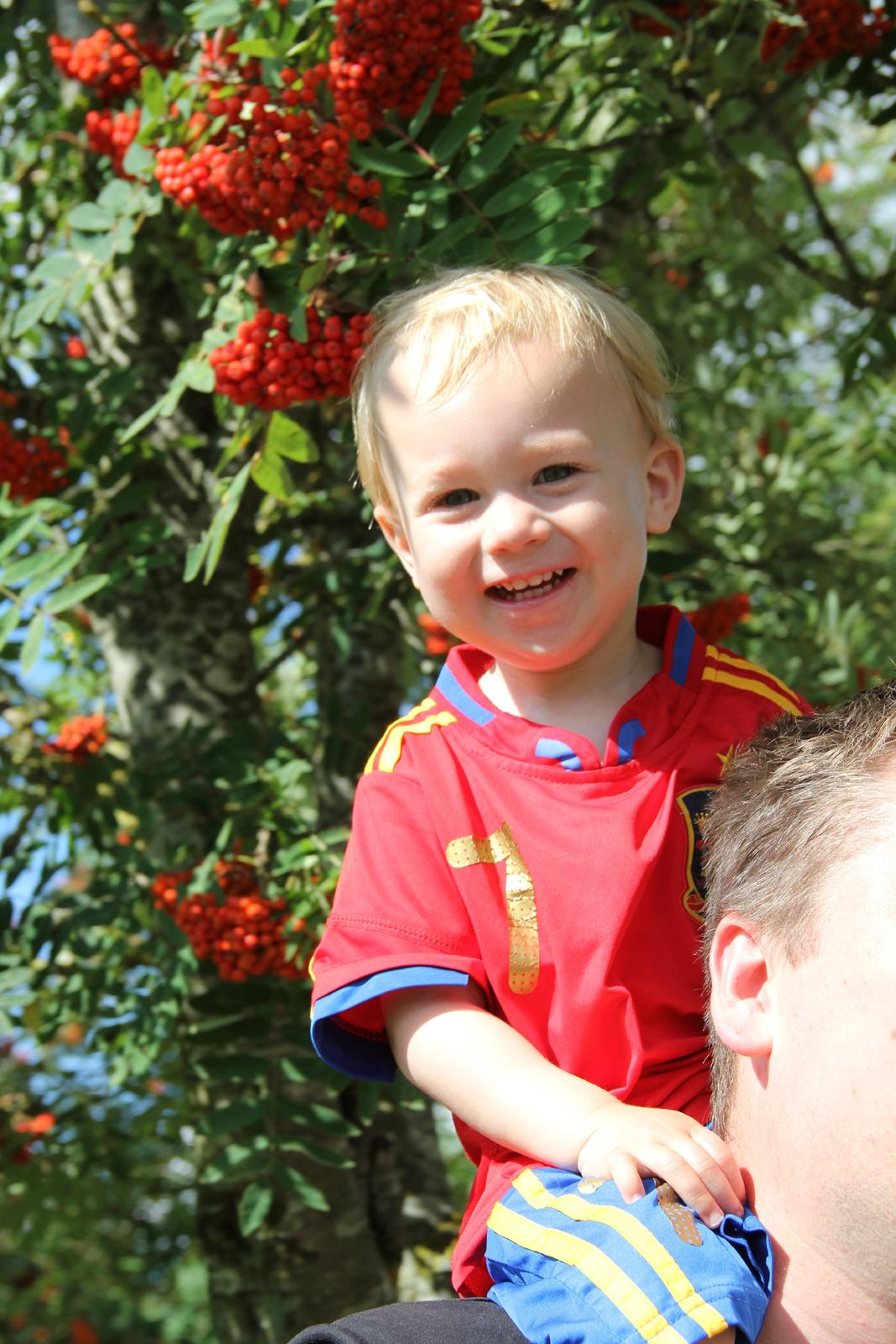 Dreng Silas - 21 mrd billede 16