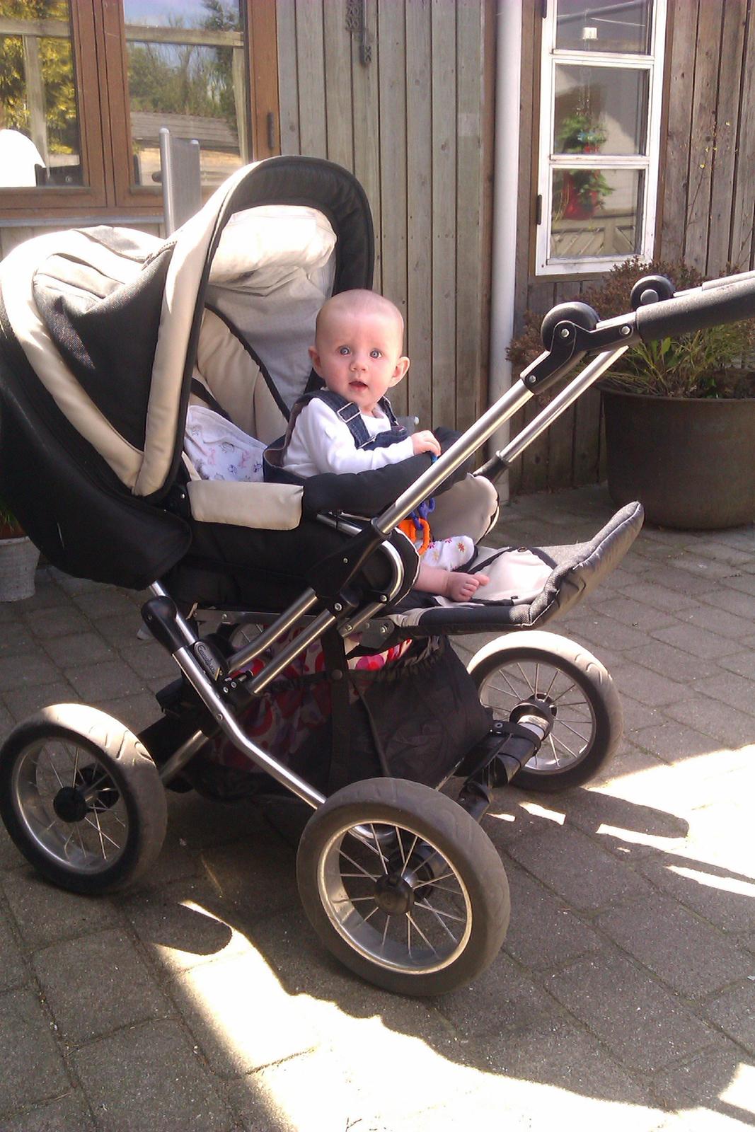 Pige Vigga Kirstine Knudsen billede 3