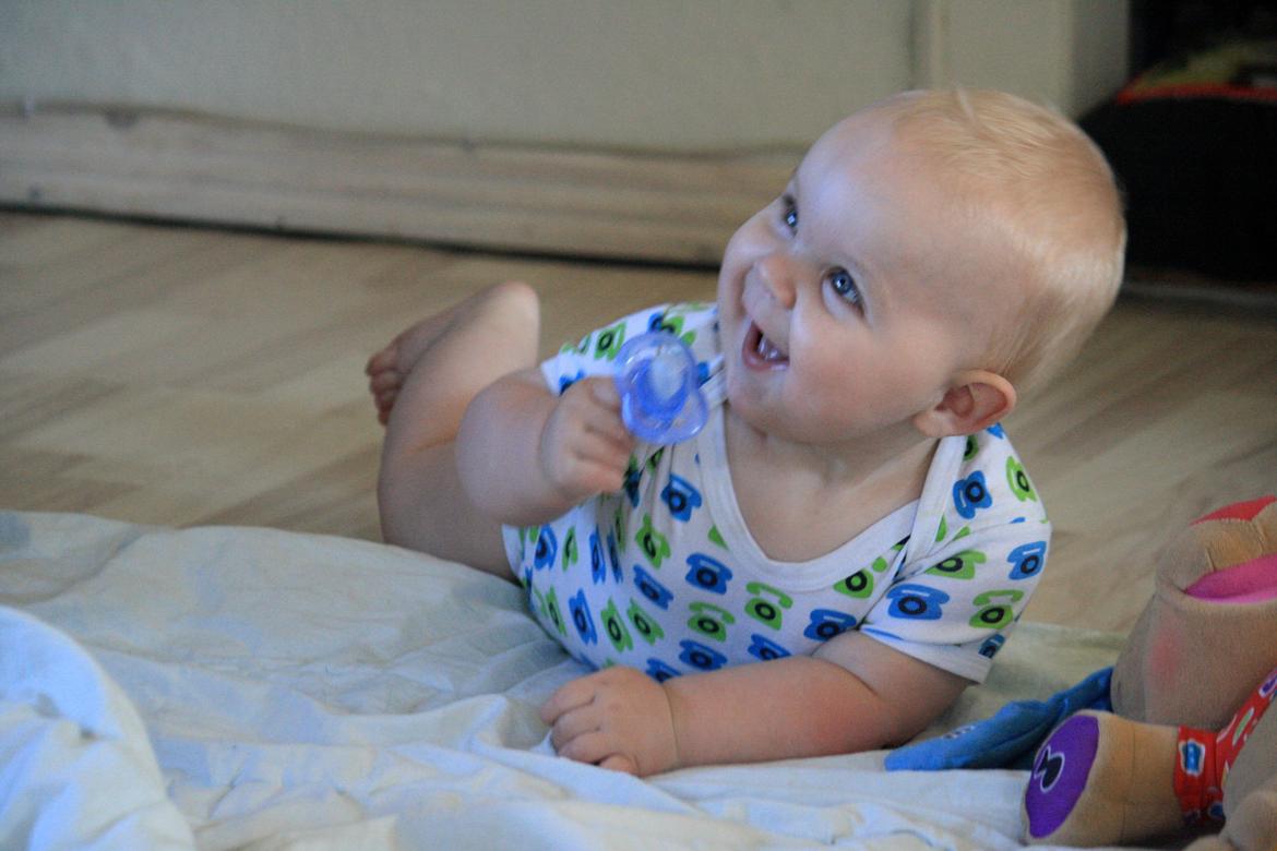 Dreng Tobias - 8 måneder + 20 dage billede 4