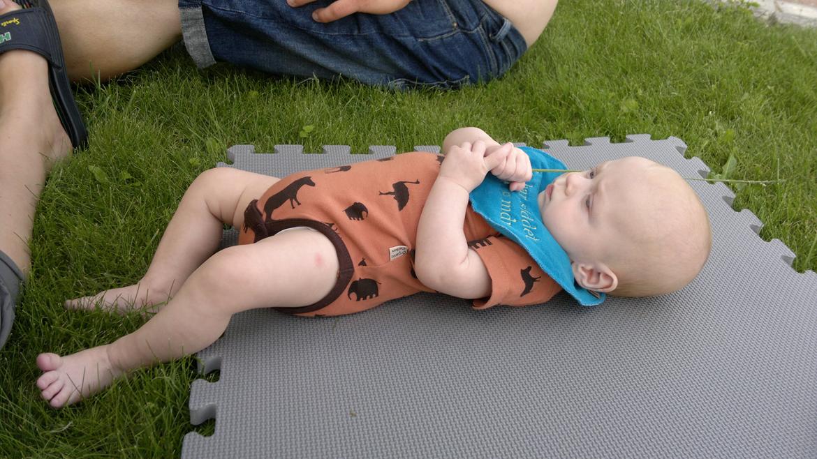 Dreng William - Jeg har fundet et græsstrå! :P billede 12