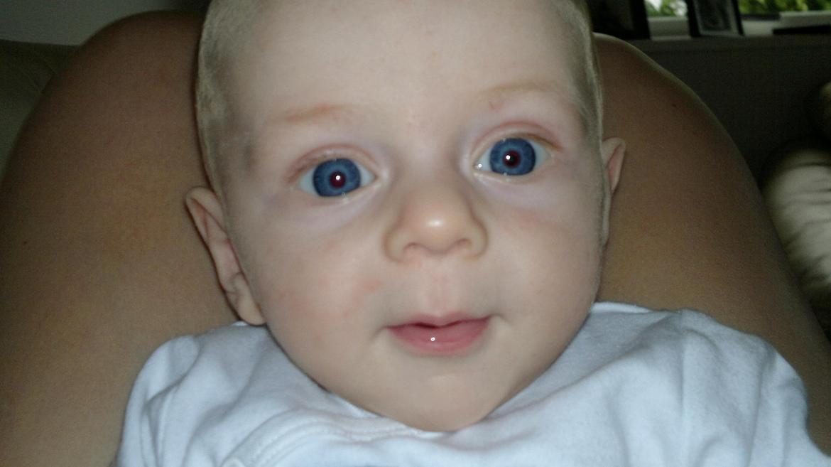 Dreng William billede 10