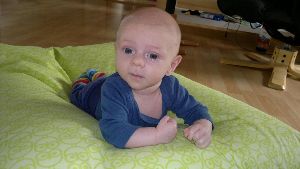 Dreng William - knapt 2 mdr billede 7