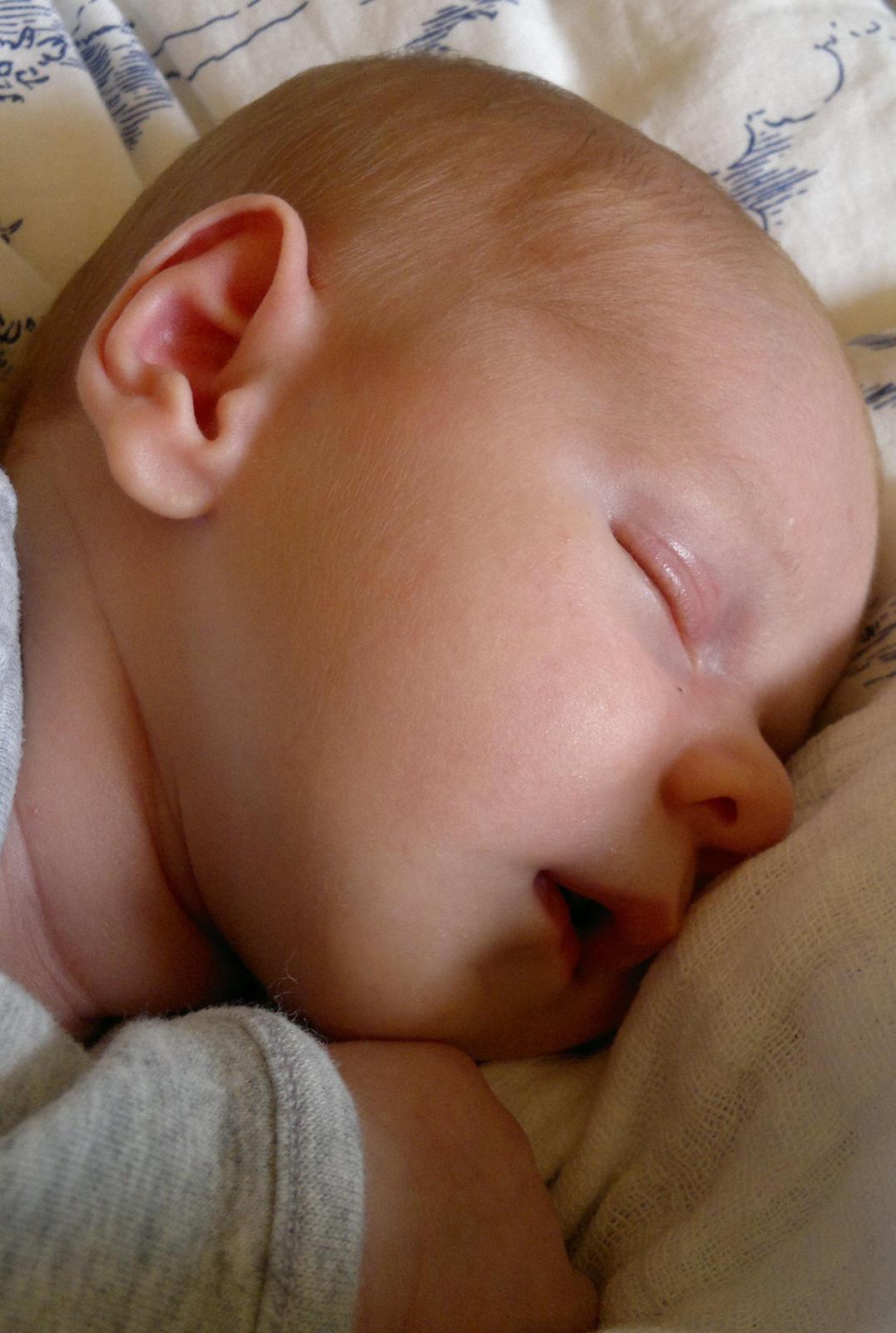 Dreng William billede 5