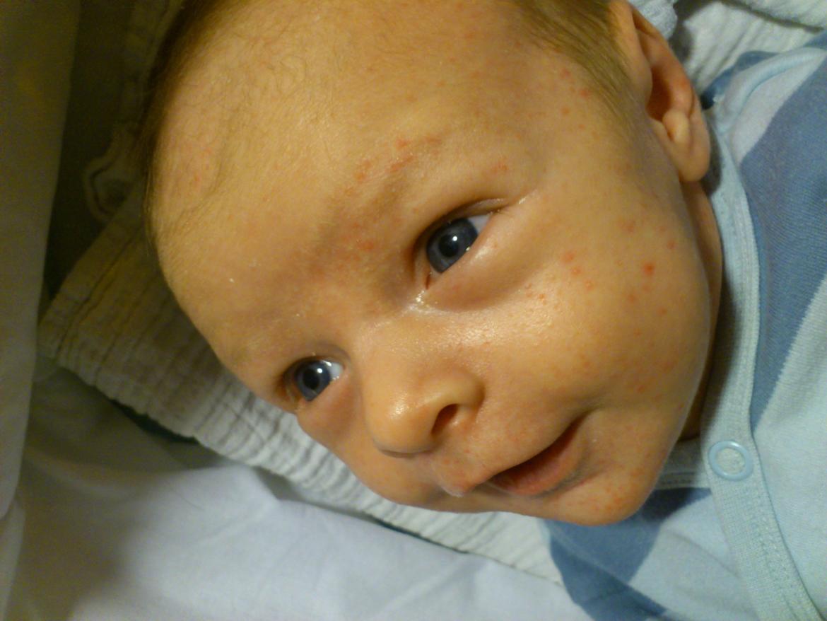 Dreng Noah Svanborg Jakobsen billede 7