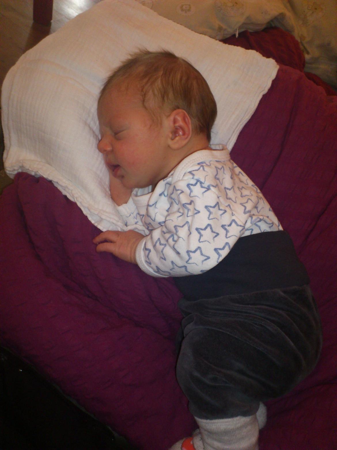 Dreng Noah Svanborg Jakobsen billede 13