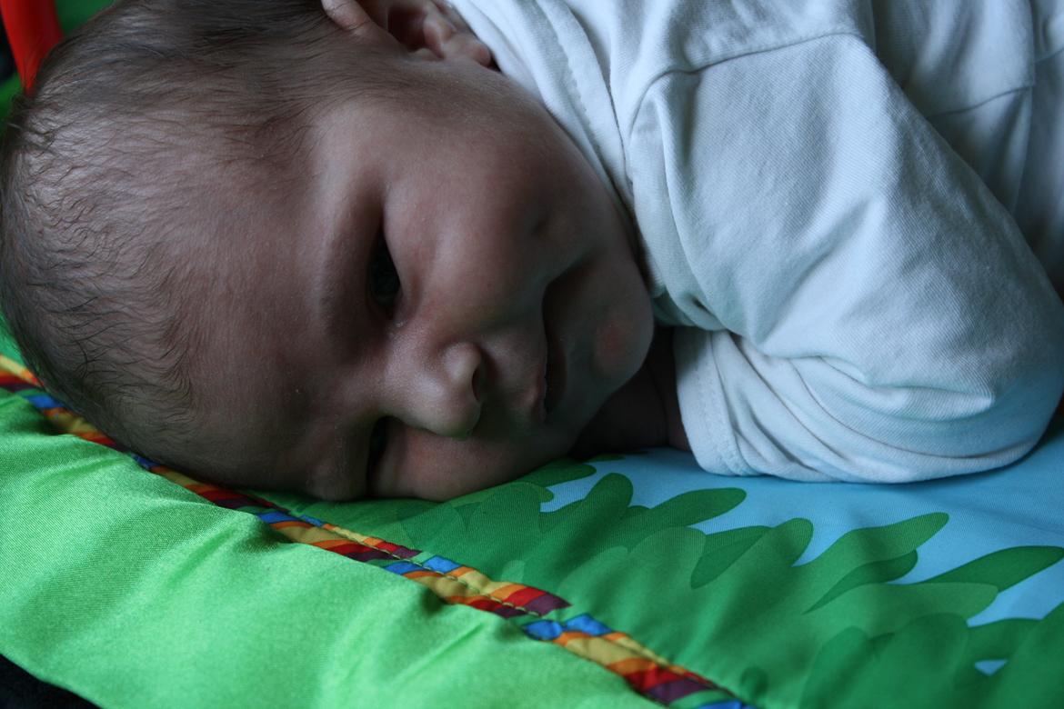 Dreng Benjamin billede 3