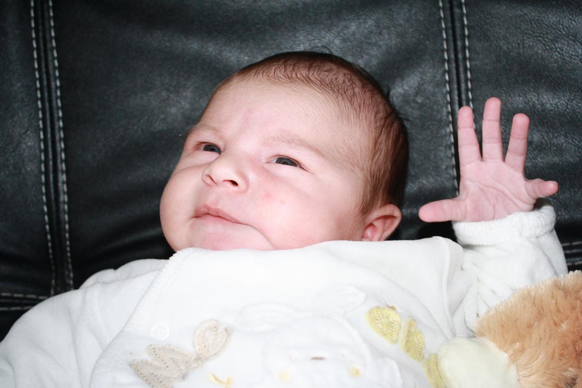 Dreng Benjamin billede 4