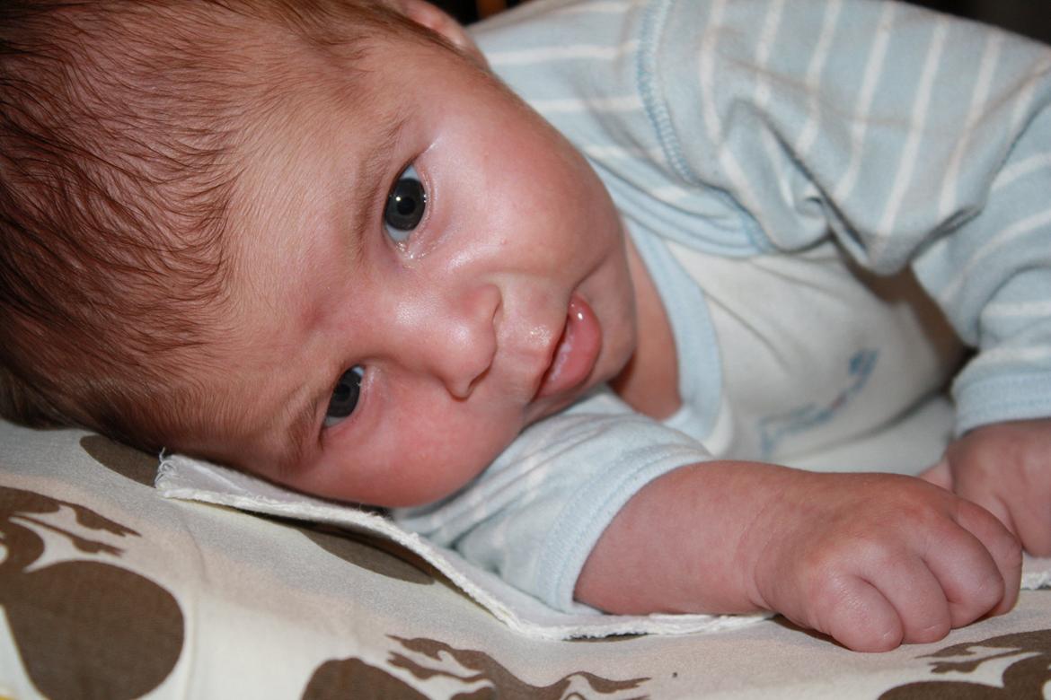 Dreng Benjamin billede 6