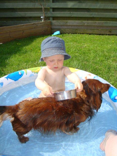 Dreng Danny Nima billede 19