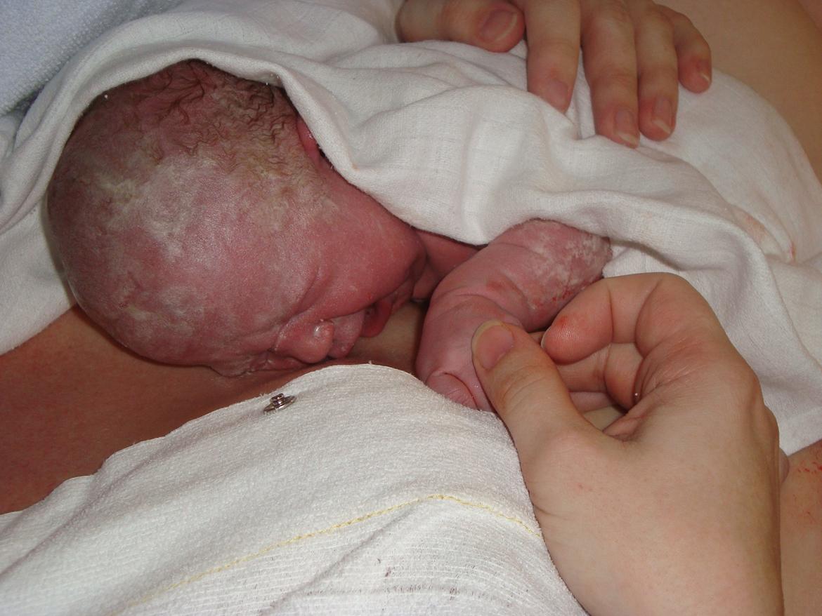 Pige Sofie Lund Christensen billede 2