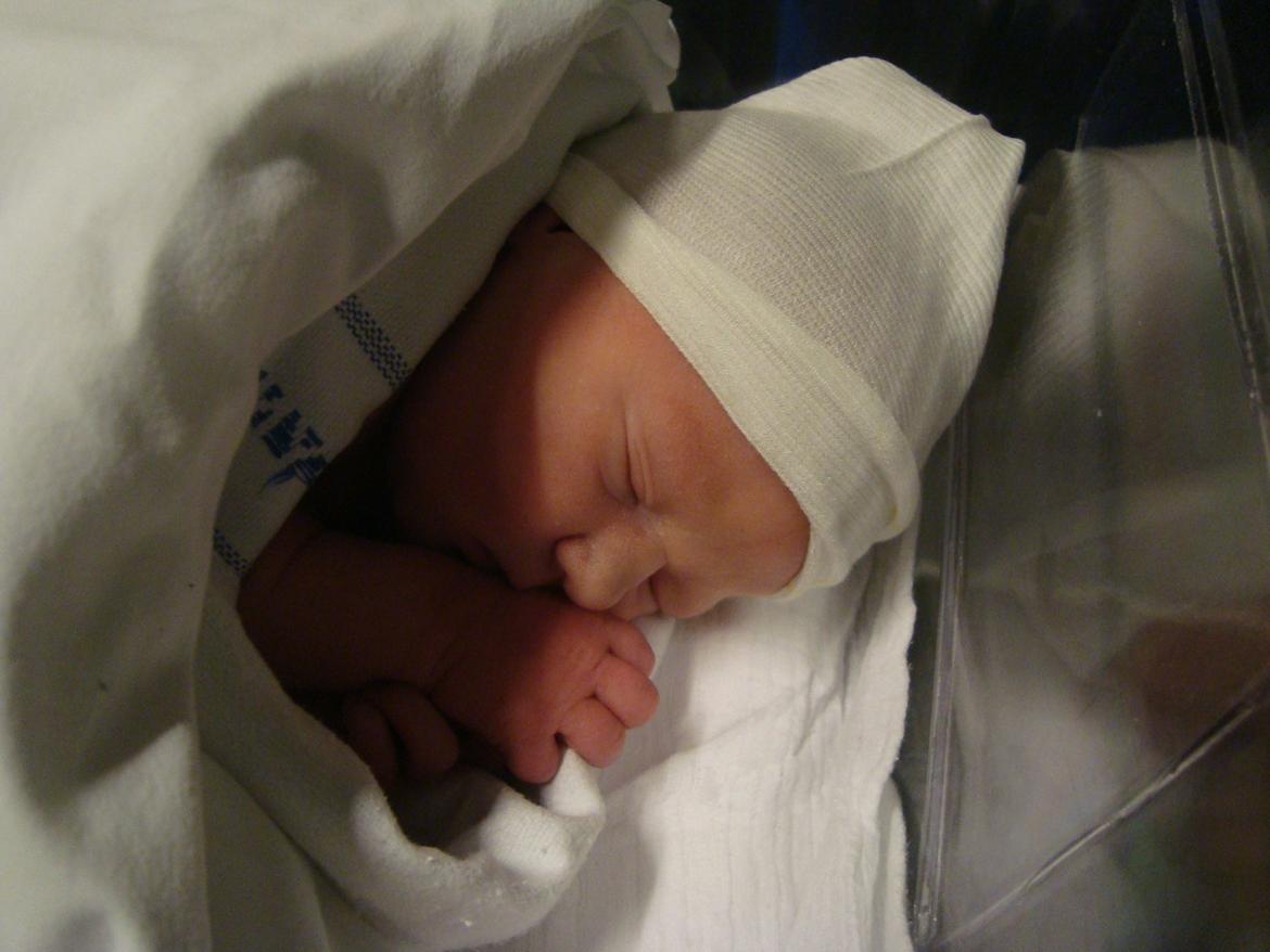 Pige Sofie Lund Christensen billede 4