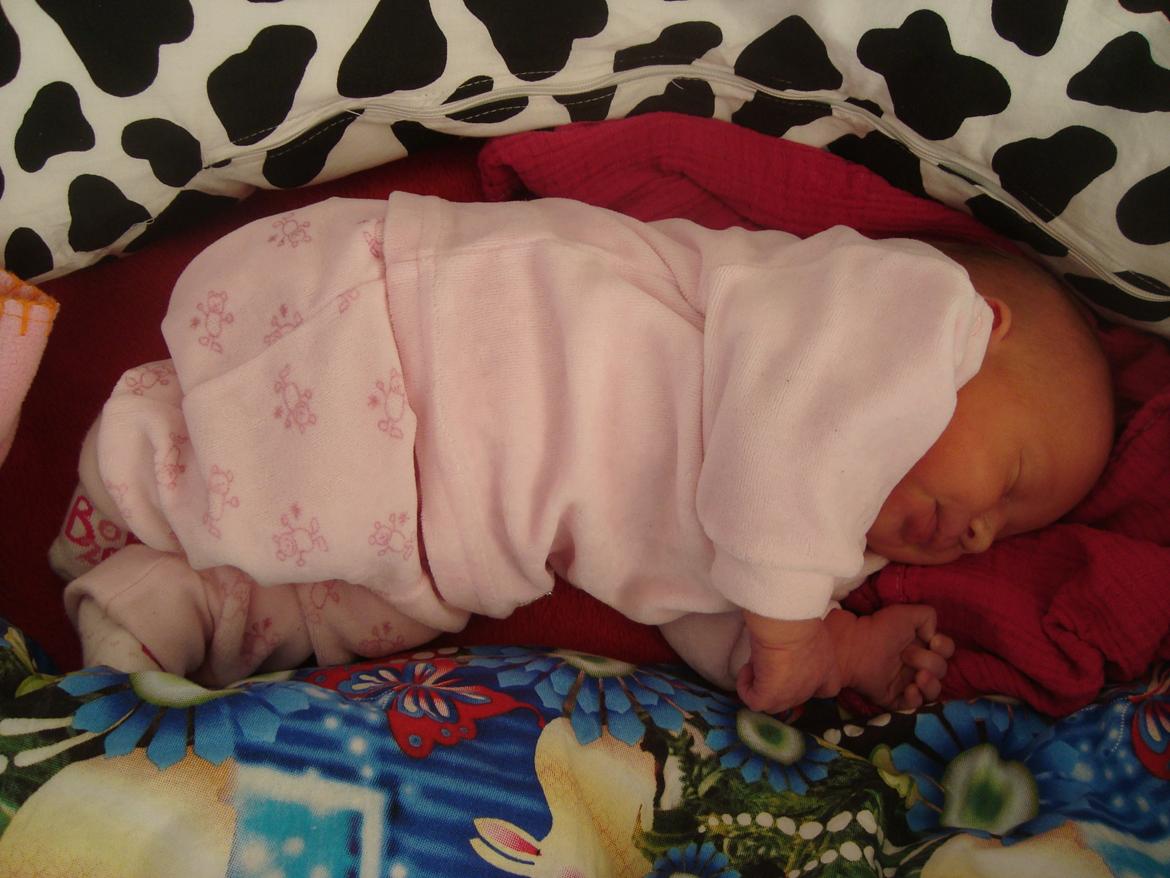 Pige Sofie Lund Christensen billede 8