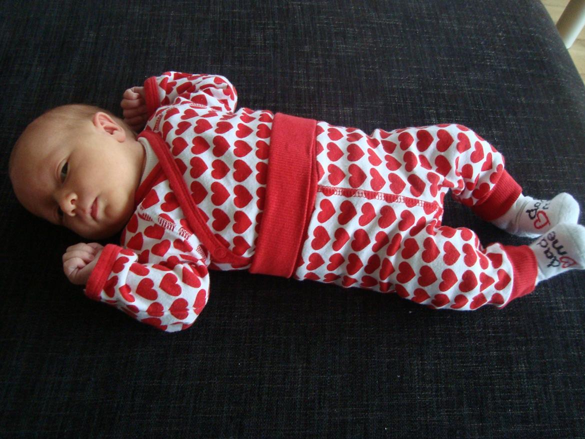 Pige Sofie Lund Christensen billede 10