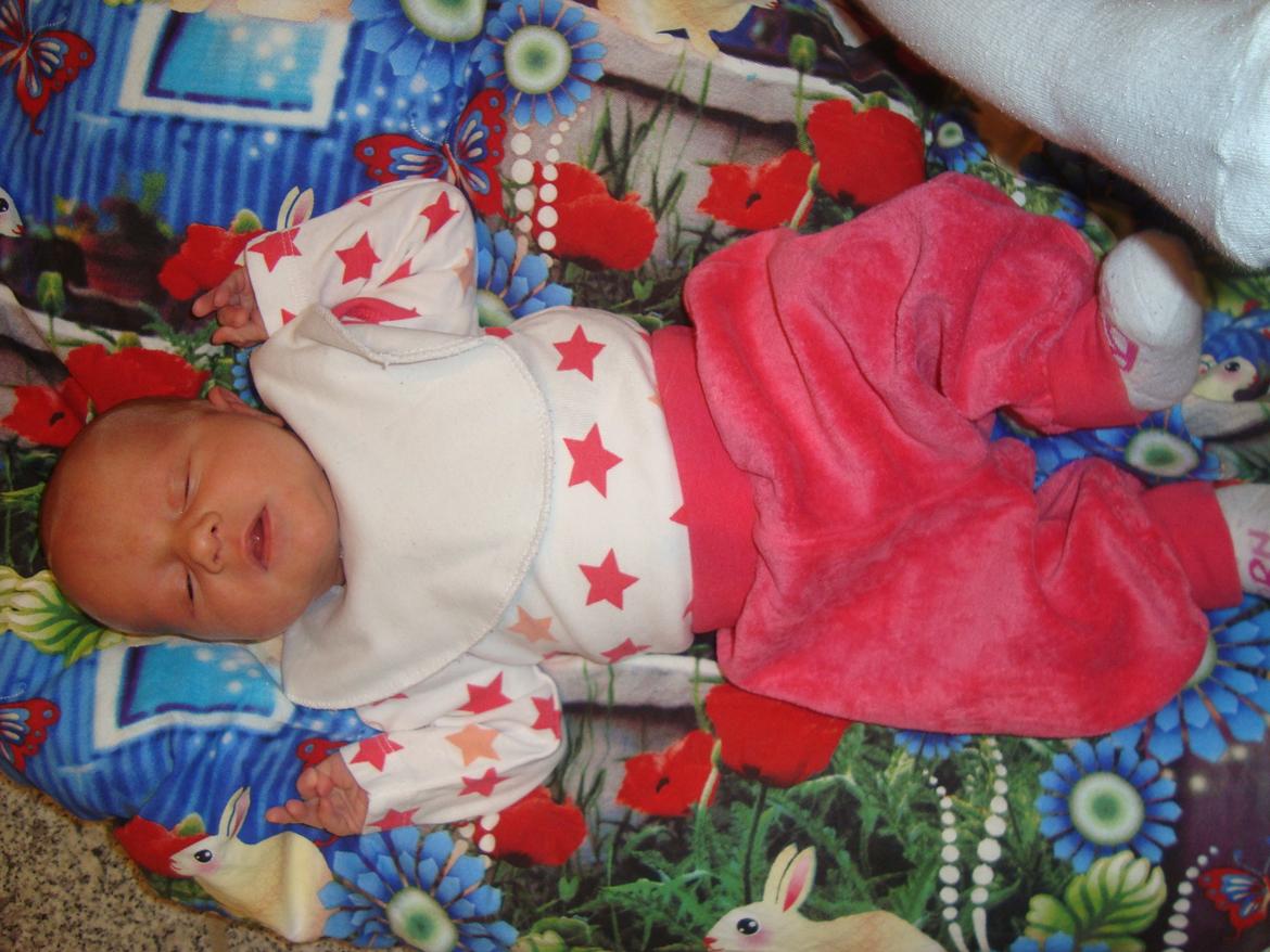 Pige Sofie Lund Christensen billede 11