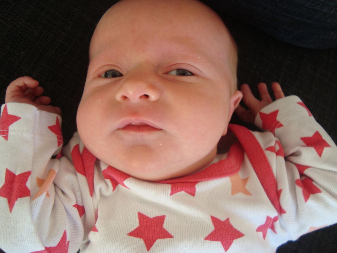 Pige Sofie Lund Christensen billede 14