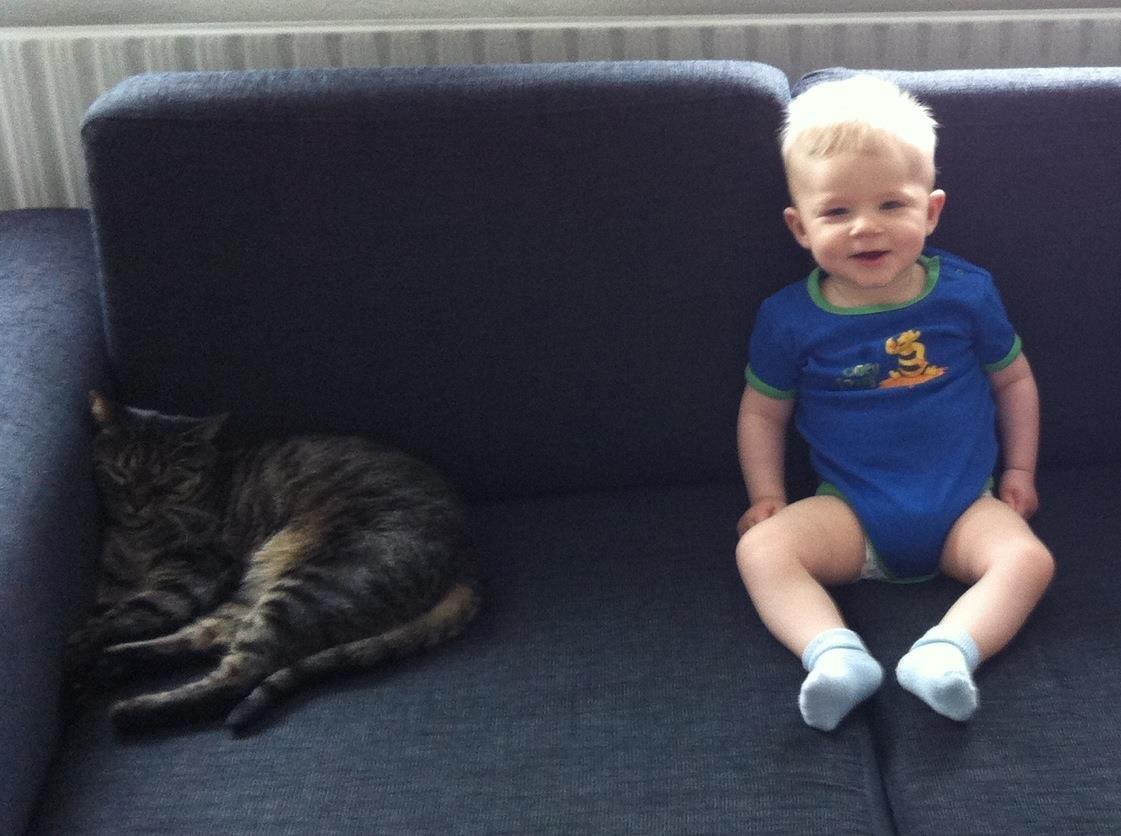 Dreng Lucas Westergaard Petersen - Lucas og vores kat Sally  billede 1