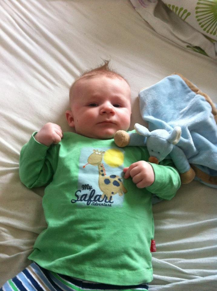 Dreng Lucas Westergaard Petersen billede 3