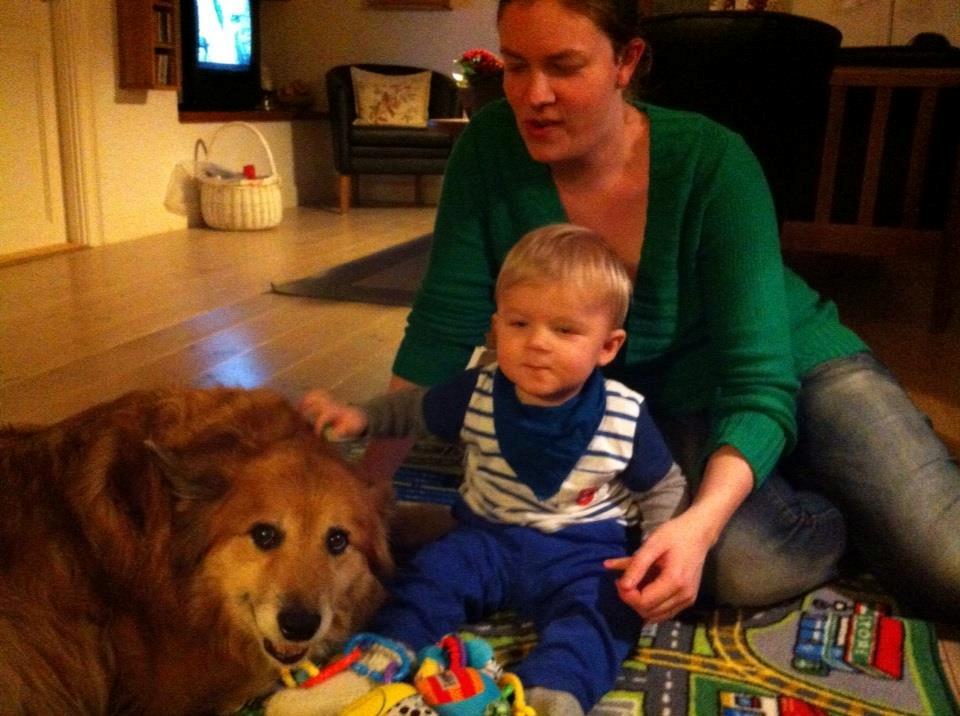 Dreng Lucas Westergaard Petersen - Juleaften 2012 hygger med mor og hunden Lucky billede 17
