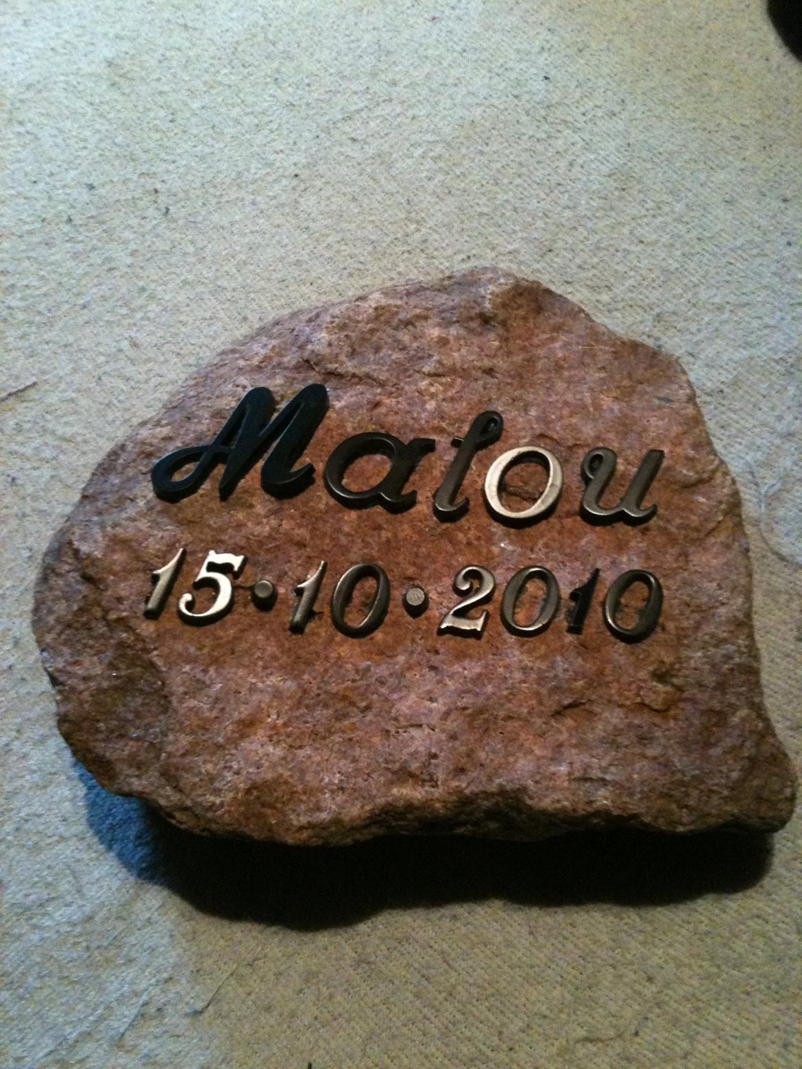 Pige Malou billede 10