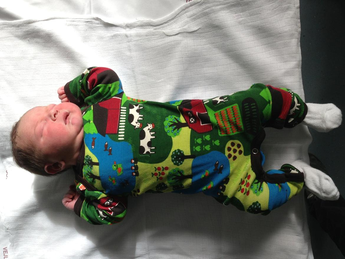 Dreng William billede 3