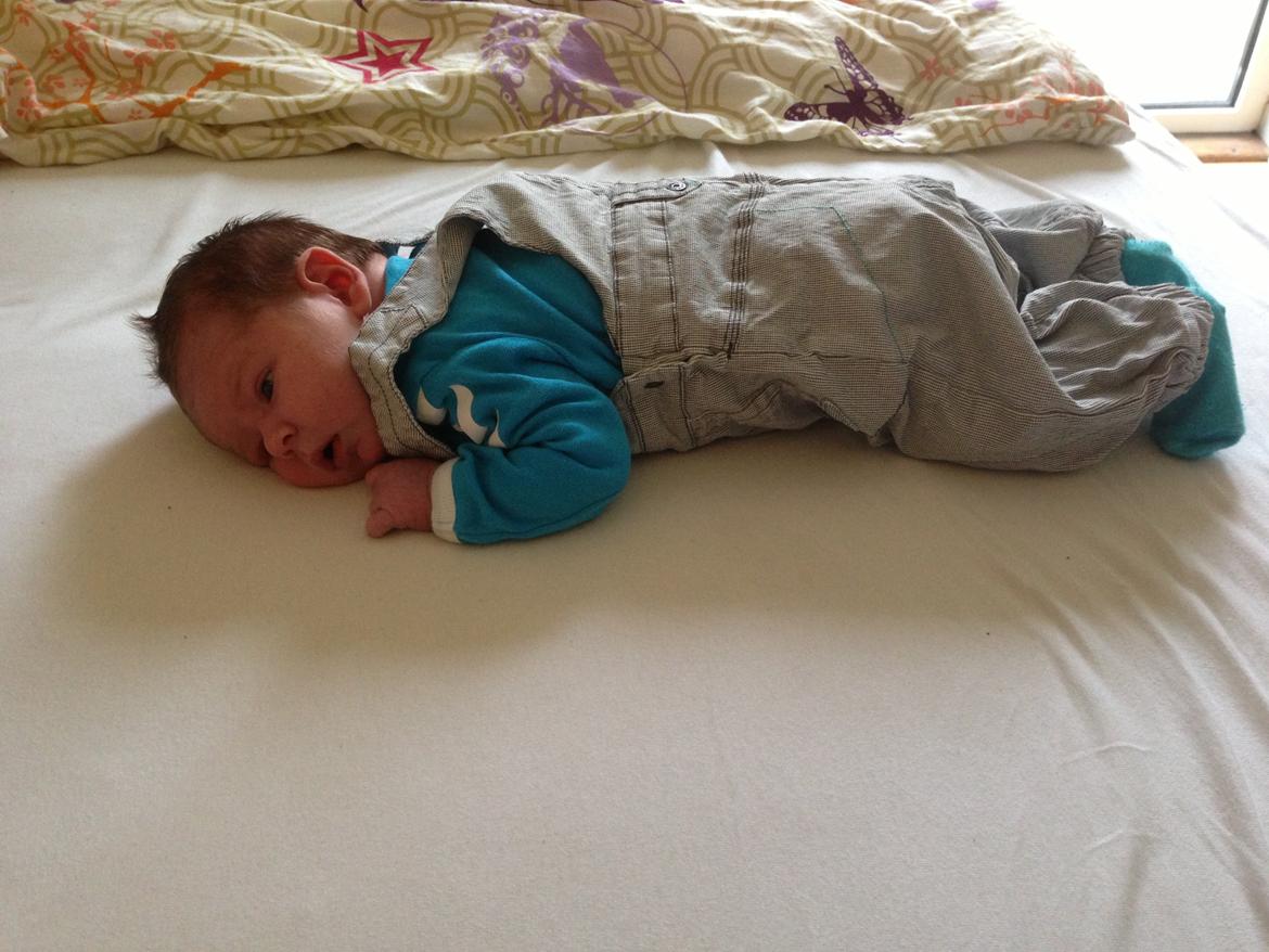 Dreng William billede 4