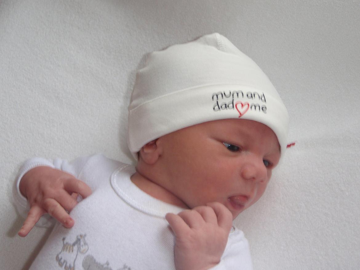 Pige Freja Elisabeth billede 6