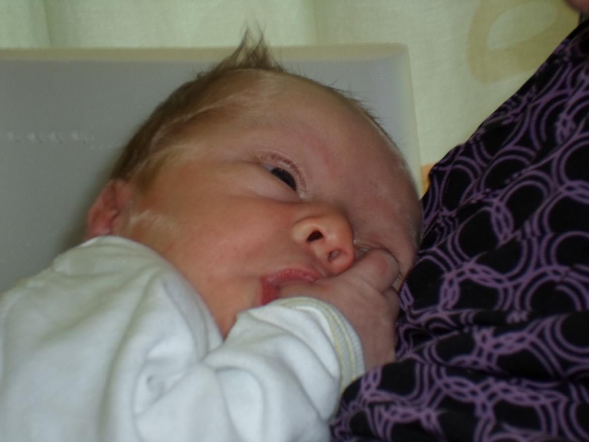 Dreng Malthe billede 7