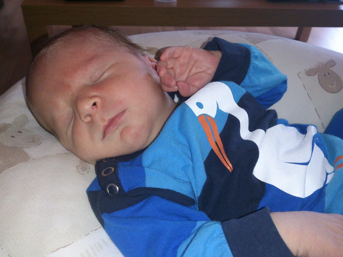 Dreng Jonathan *07.10.2013* billede 1