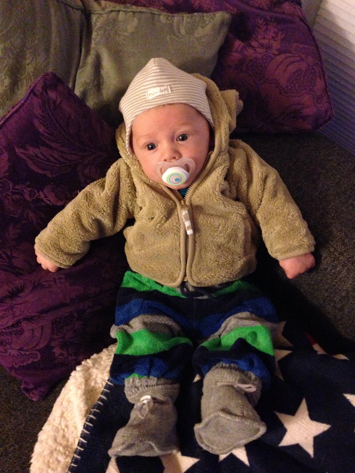 Dreng Adrian billede 5