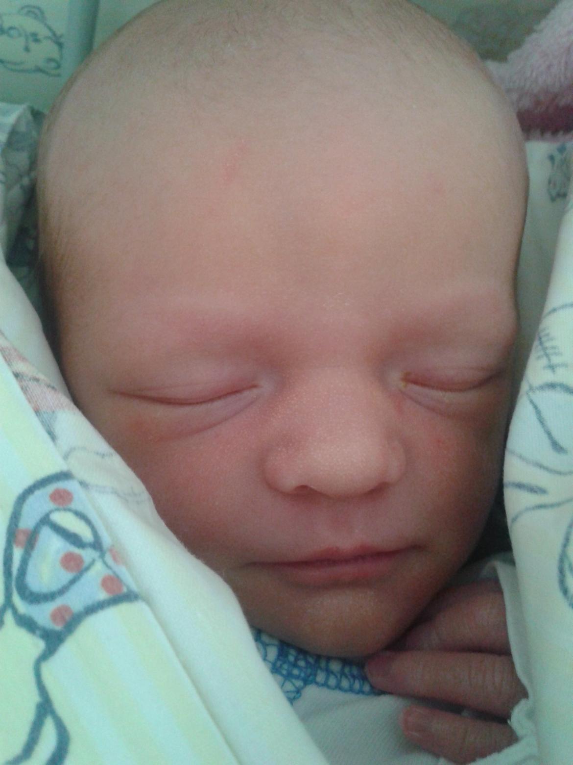 Pige Linea billede 3