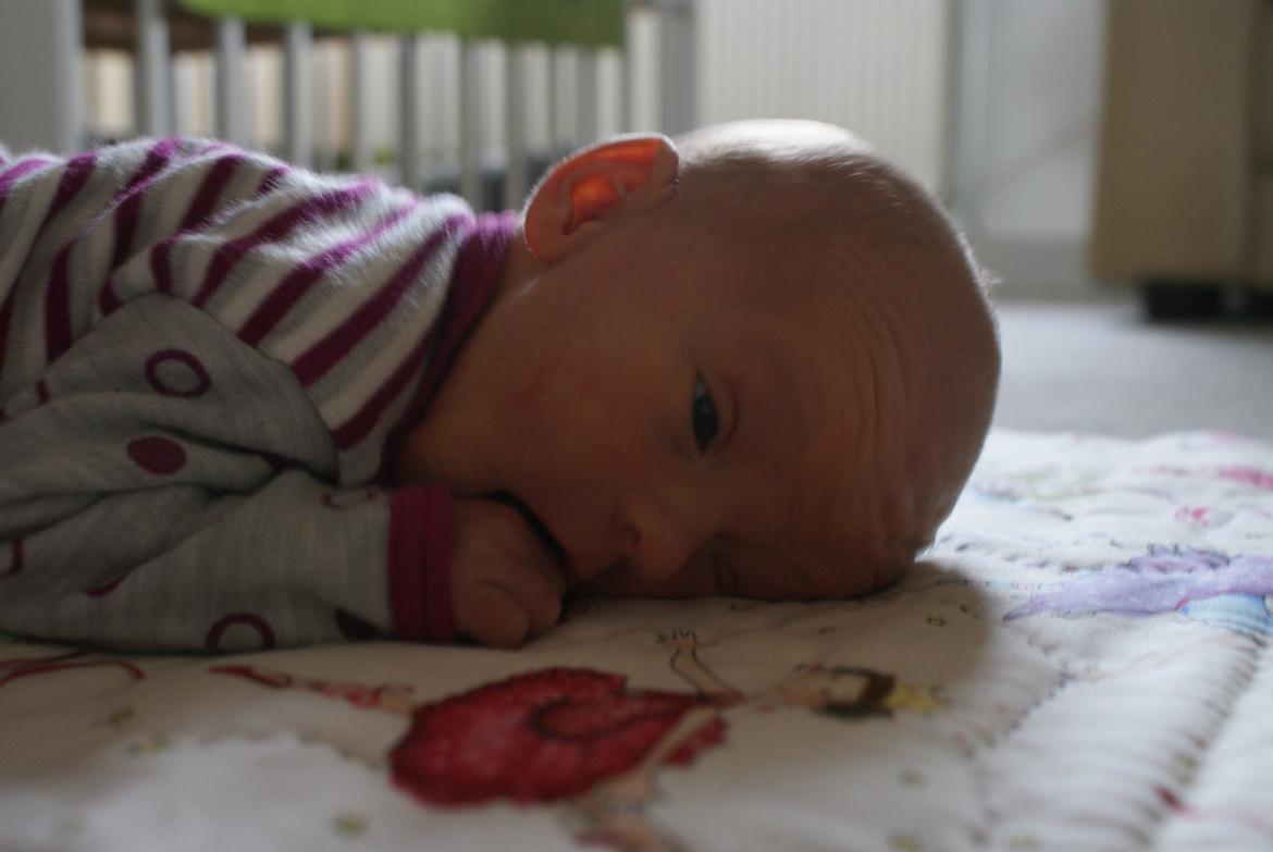 Pige Linea billede 5