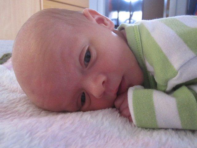 Pige Linea billede 6