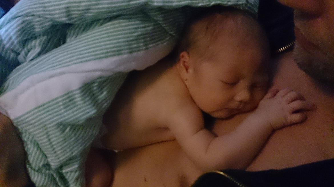 Dreng Sigurd billede 2