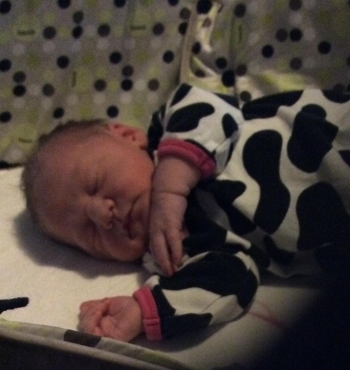 Pige Vicktoria-Amalie billede 5