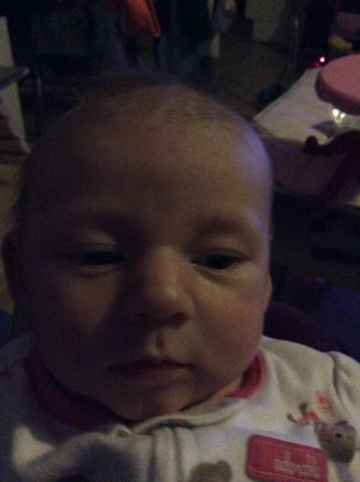 Pige Vicktoria-Amalie billede 19