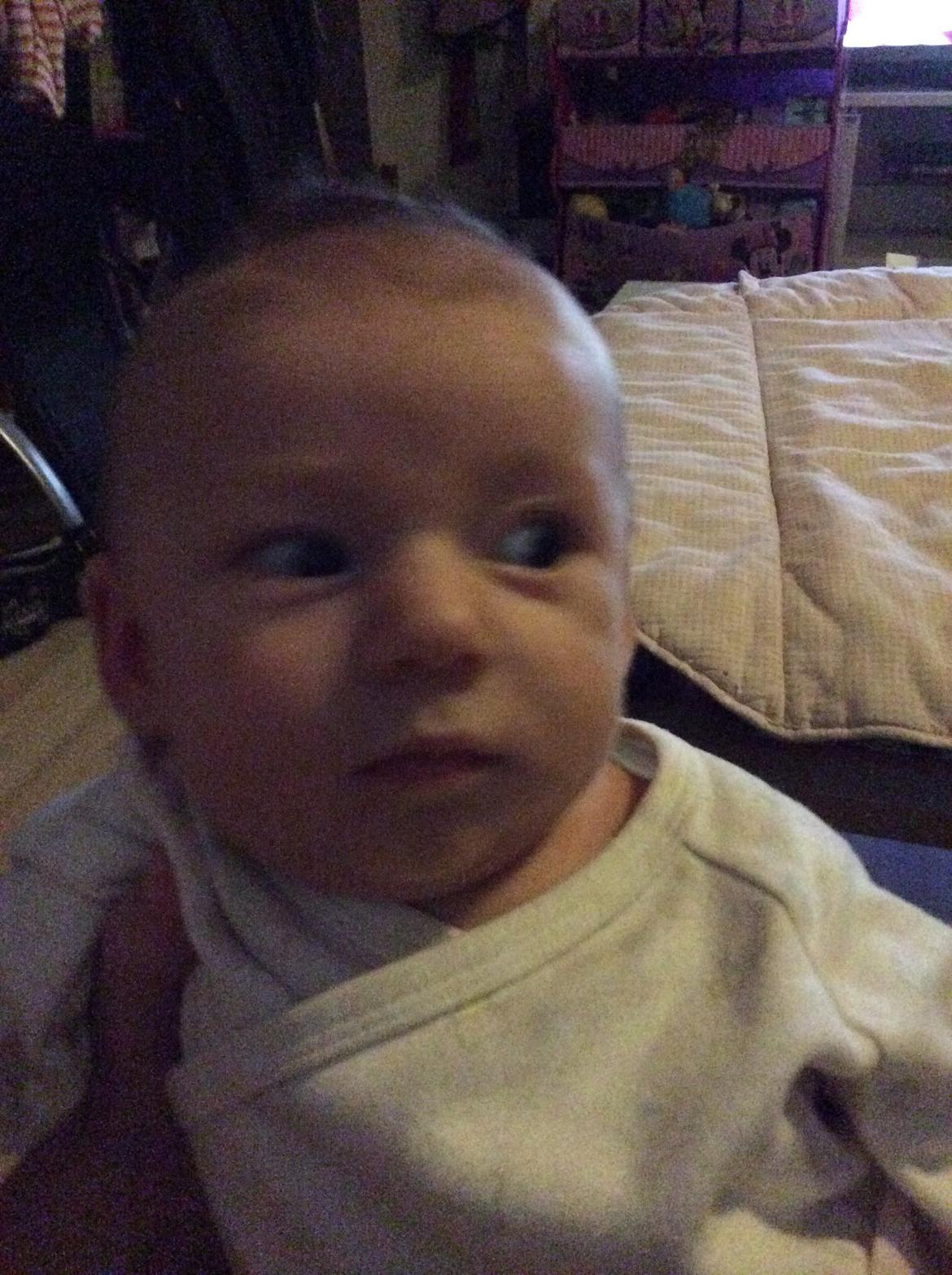 Pige Vicktoria-Amalie billede 22