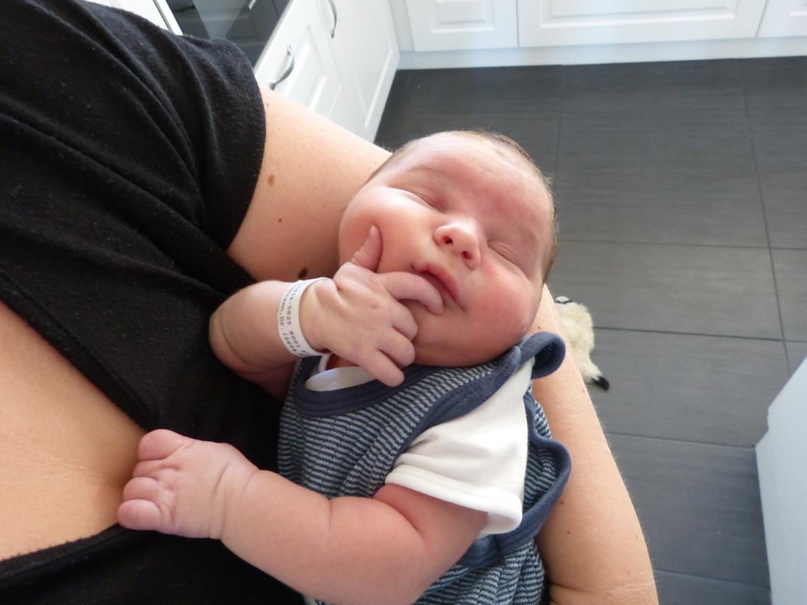 Dreng Marco - 5 dage billede 3