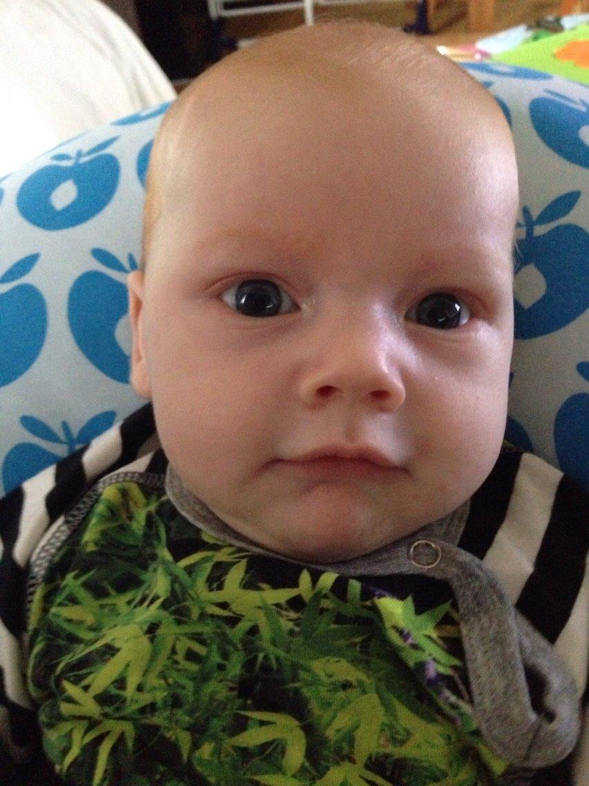 Dreng Nicolas billede 6