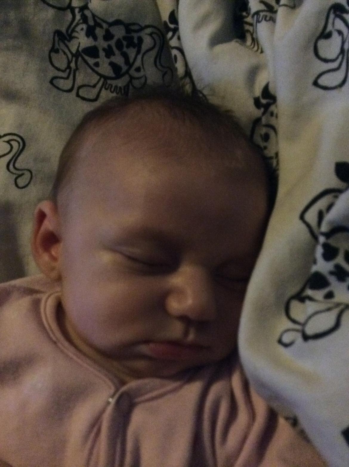 Pige Vicktoria-Amalie billede 24