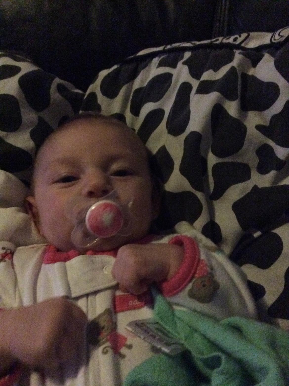 Pige Vicktoria-Amalie billede 25