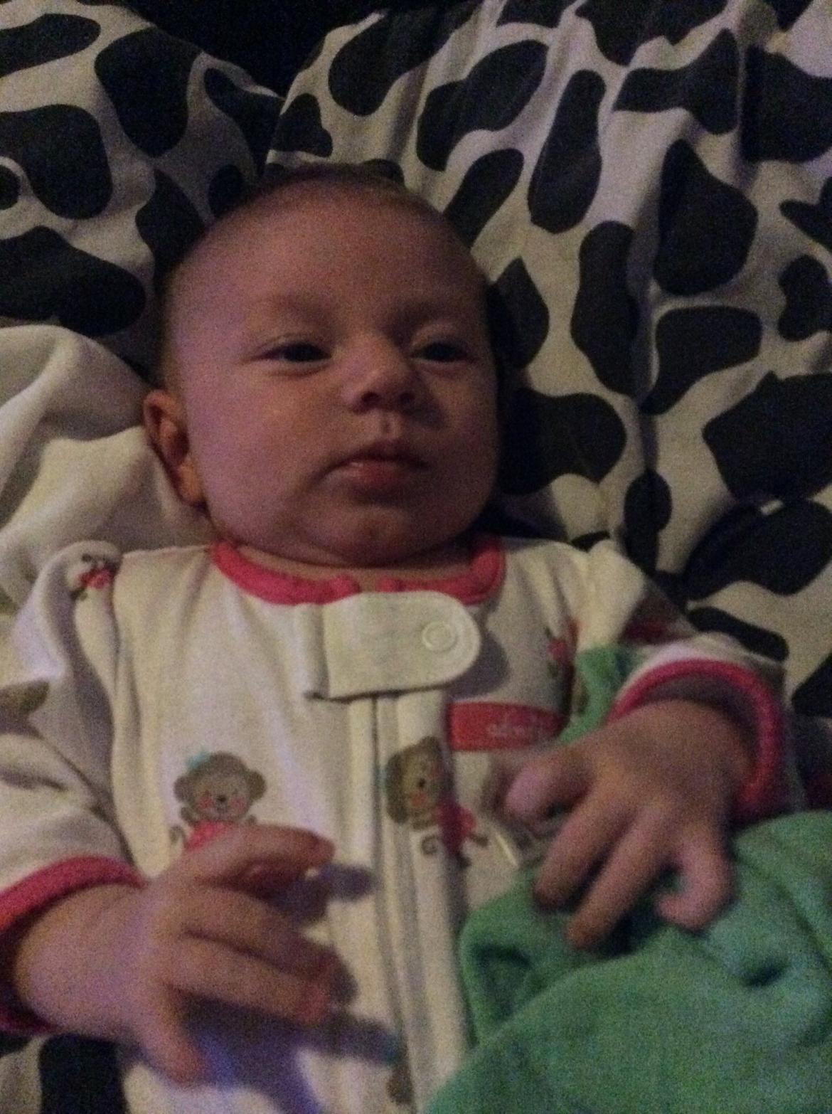 Pige Vicktoria-Amalie billede 26