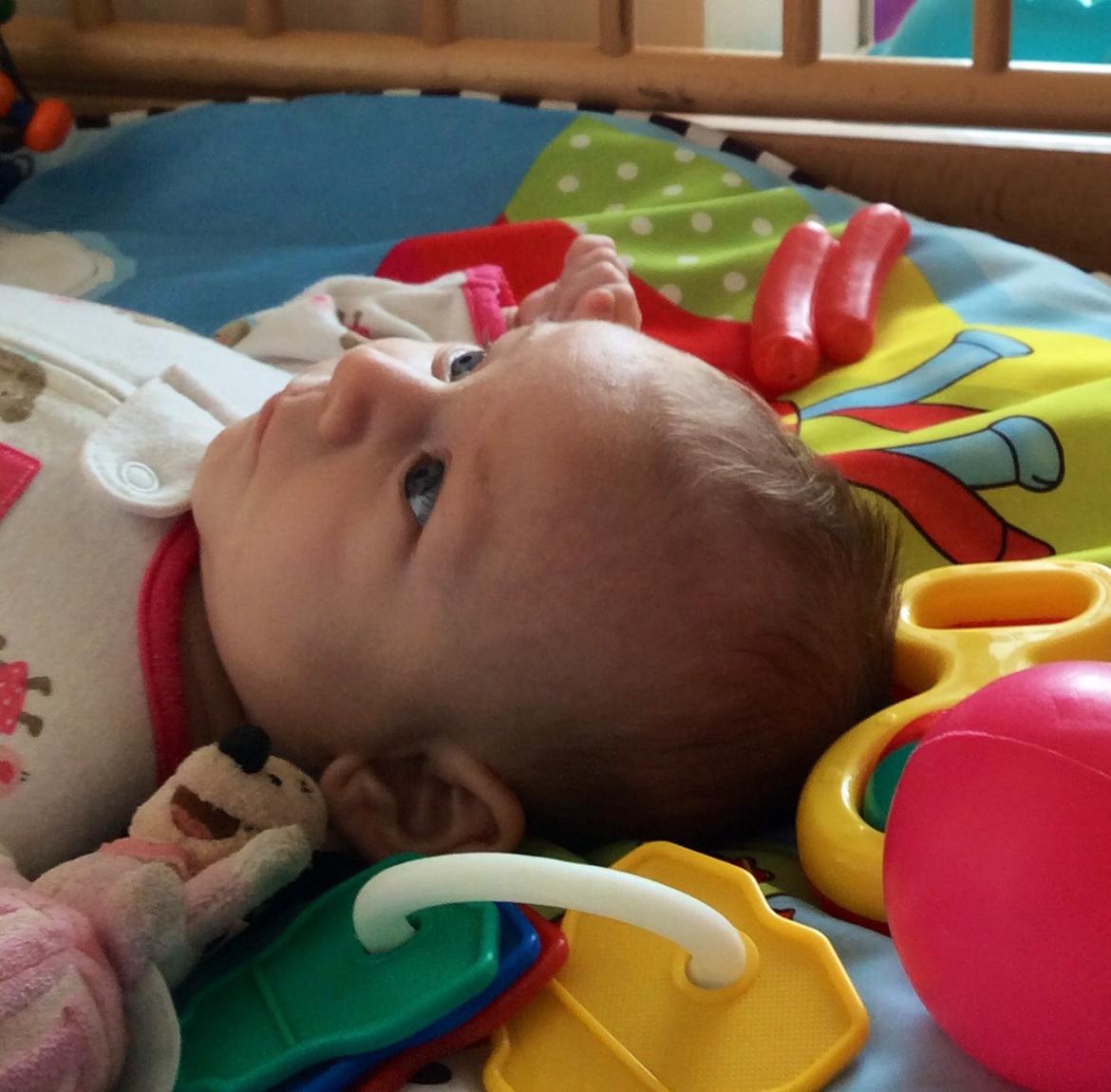 Pige Vicktoria-Amalie billede 27