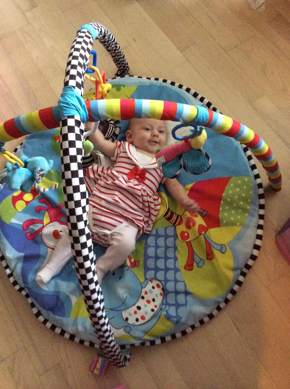 Pige Vicktoria-Amalie billede 30