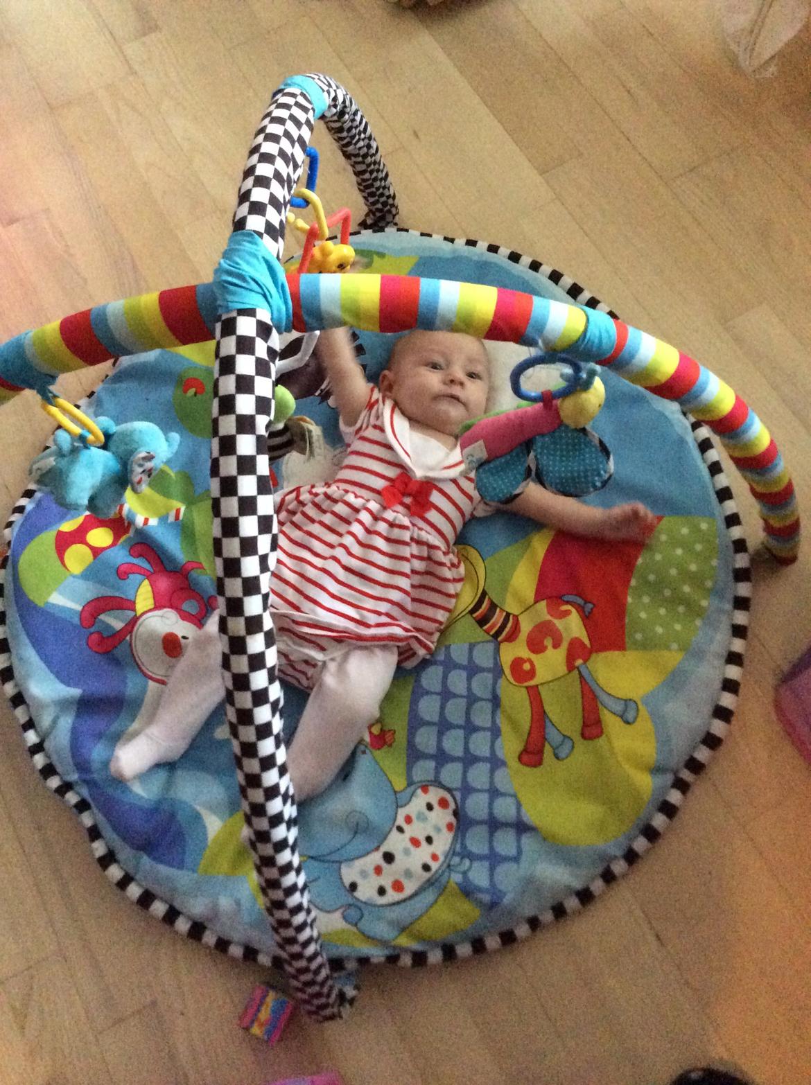 Pige Vicktoria-Amalie billede 31