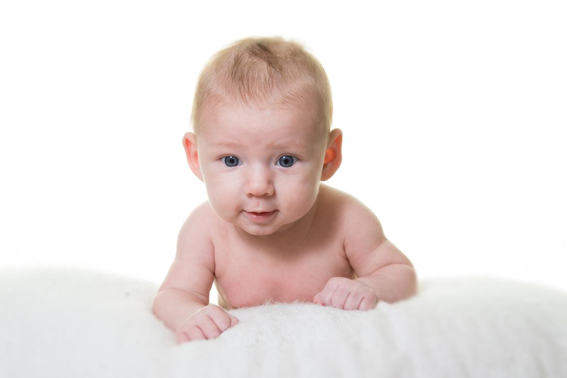 Pige Vicktoria-Amalie billede 32